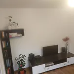 Zosia Apartment Liwa